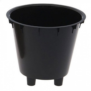 Разноцветный Разноцветный