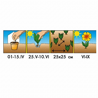 Разноцветный Разноцветный