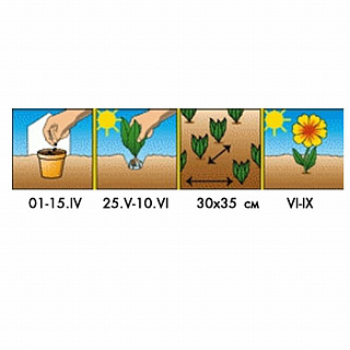 Разноцветный Разноцветный