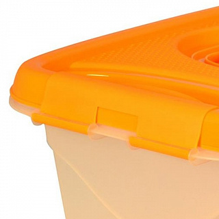 Разноцветный