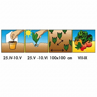 Разноцветный Разноцветный