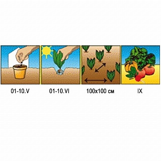 Разноцветный Разноцветный