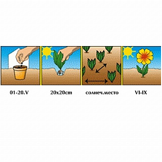 Разноцветный Разноцветный