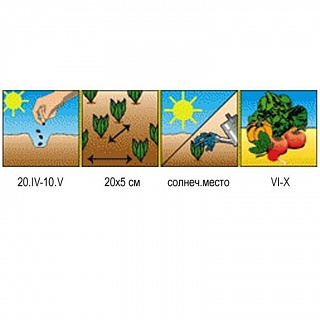 Разноцветный Разноцветный