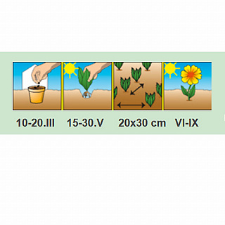 Разноцветный Разноцветный